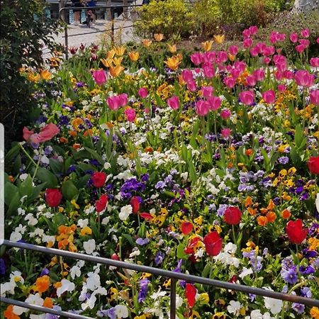 Appartamento Rosy Peschiera del Garda Exterior foto