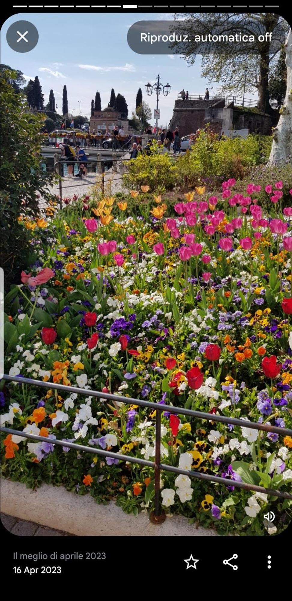 Appartamento Rosy Peschiera del Garda Exterior foto